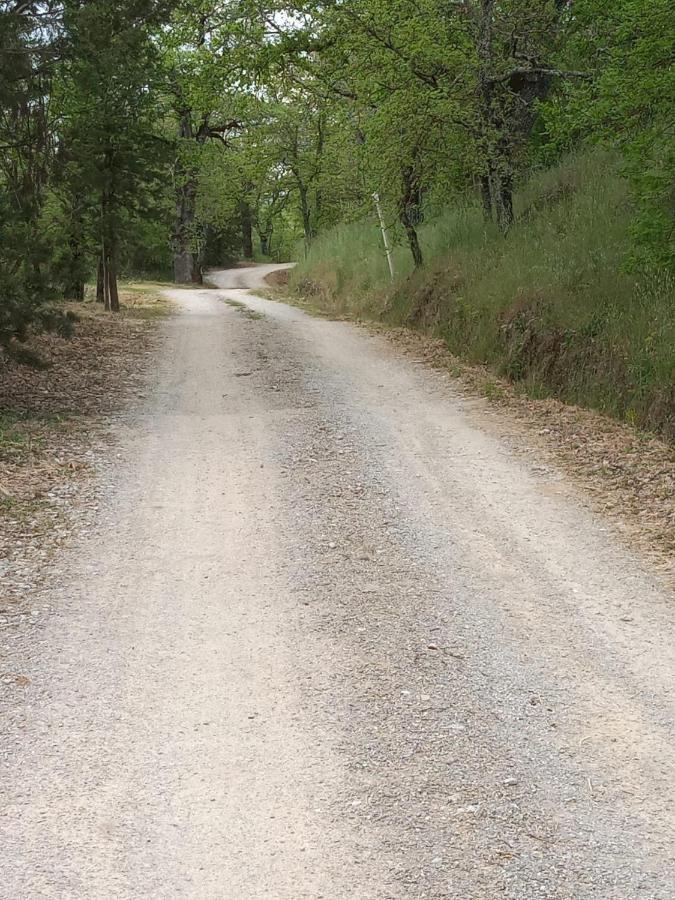 Agriturismo L'Incrociata Bucine Dış mekan fotoğraf